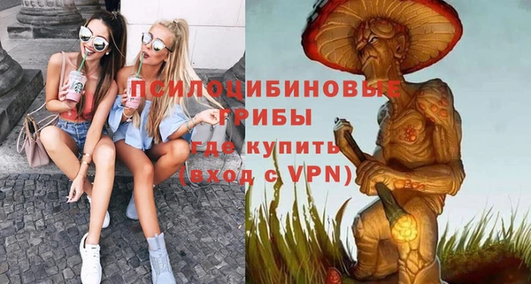 бошки Алзамай