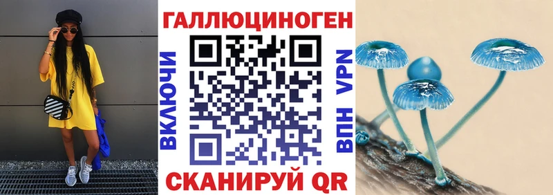 кракен ONION  купить закладку  Нестеров  Галлюциногенные грибы мухоморы 